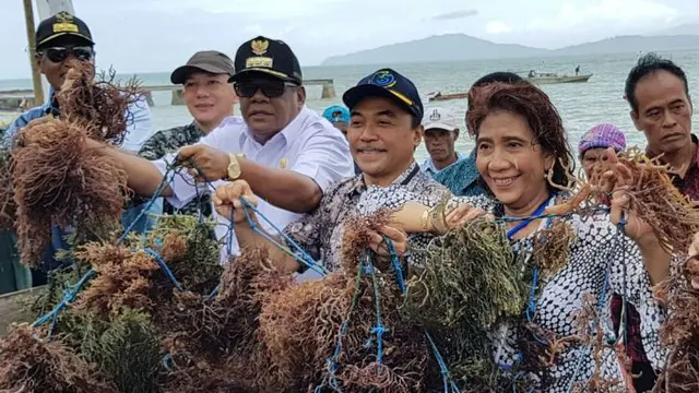 Menteri Kelautan dan Perikanan, Susi Pudjiastuti melakukan panen raya rumput laut di kampung Saharei Distrik Fakfak Timur Kabupaten Fak Fak, Papua Barat. (Dok KKP)