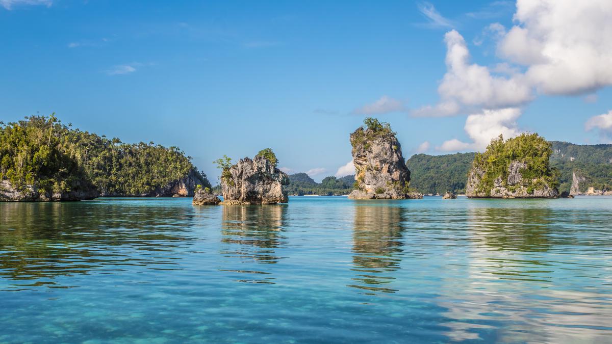 Teluk Triton, Permata Laut dari Kaimana Menyimpan Surga Bawah Air dan Tarian Paus di Ufuk Timur Papua