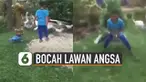 Inilah dia aksi bocah laki-laki saat mengusir angsa tetapi angsanya tidak mau diusir dan akhirnya pertengkaran pun terjadi.