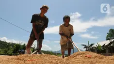 Buruh tani menjemur gabah di kawasan Tanjung Sari, Kabupaten Bogor, Jawa Barat, Senin (14/3/2022). Sejak sepekan terakhir, harga gabah kering giling di tingkat petani naik dari Rp 4.400 menjadi Rp 4.600 per kilogram. (merdeka.com/Arie Basuki)