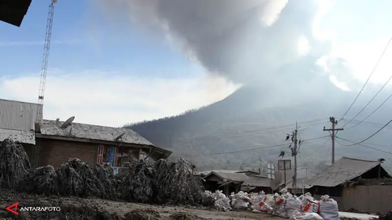 sinabung-140202-a.jpg