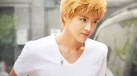 Kris EXO-SM Entertainment Akan Lakukan Mediasi Jilid Dua