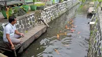 Kali Seng Banyuwangi Dulu Kumuh, Sekarang Menjadi Tempat Budidaya Ikan Air Tawar. (Hermawan Arifiantoi/Liputan6.com)