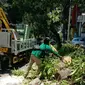 Dua pohon tumbang terjadi di dua lokasi yang berbeda di Surabaya, yaitu di Jalan Ahmad Yani, tepat di depan RSAL dr Ramelan dan di Jalan Kertajaya No. 240 (Foto: Liputan6.com/Dian Kurniawan)