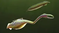 Misteri 'Makhluk Paling Aneh' Tully Monster Akhirnya Terkuak