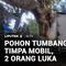 Pohon tumbang menimpa dua mobil di Kabupaten Bogor, Jawa Barat. Musibah ini mengakibatkan dua orang terluka.