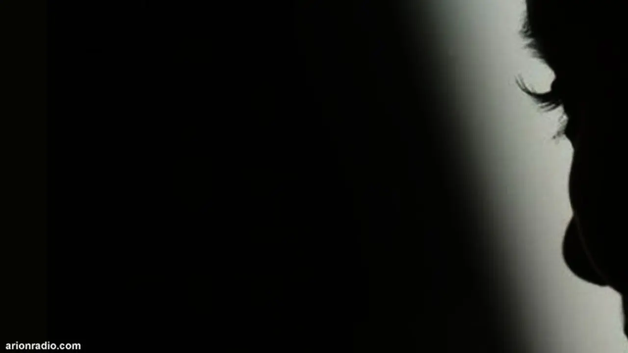 pelecehani130318b.jpg