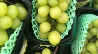 Ramai! Anggur Shine Muscat Terkontaminasi Pestisida, Bapanas Lakukan Investigasi