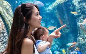 Potret Aurelie Moeremans Ajak Baby Tommy Jalan-jalan ke Aquarium