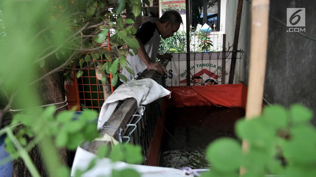 Melihat Suasana Kampung Proklim Sunter Jaya