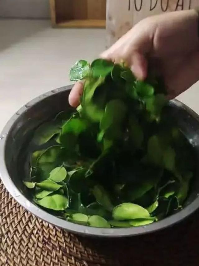 Cuci Daun Jeruk hingga Bersih