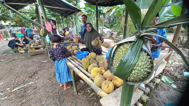 BPS: Indonesia Ekspor Durian Rp 29,39 Miliar, Impor Sentuh Rp 58,78 Miliar pada 2024