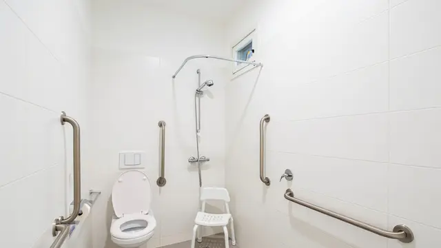 Contoh Kamar Mandi Aman untuk Lansia di Rumah Desa (AI)