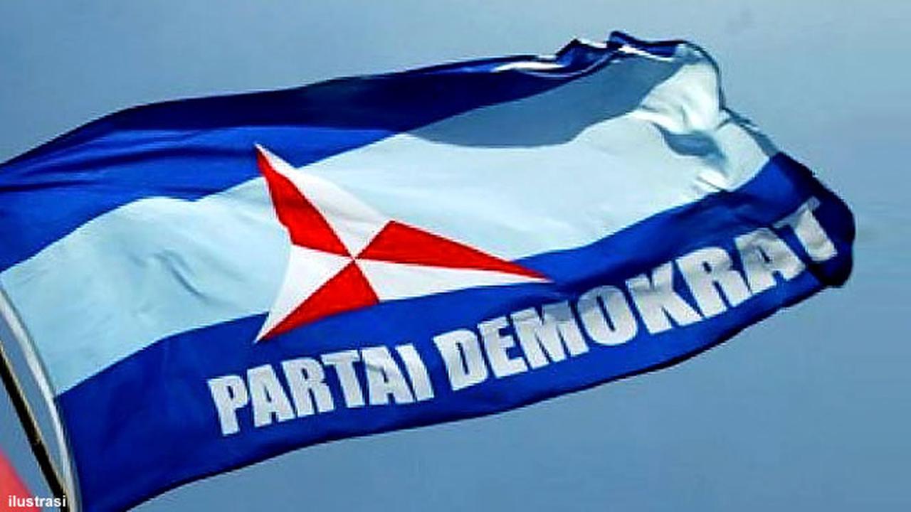 demokrat-130305b.jpg
