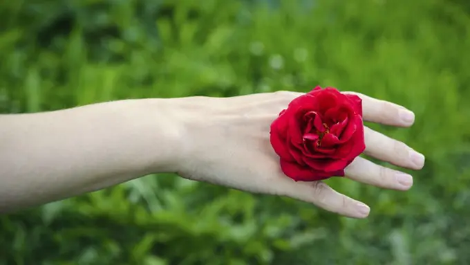 Foto: copyright thinkstockphotos.com