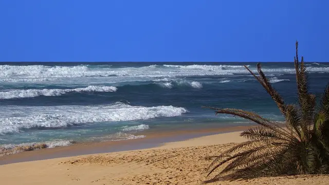 Hawai