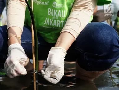 Karyawan PT Indofood Sukses Makmur Tbk menanam pohon bakau di Pesisir Merunda, Jakarta Utara, Sabtu (4/8). Kegiatan menanam 2000 batang pohon digelar dalam rangka menyambut hari Mangrove sedunia. (Liputan6.com/HO/Eko)