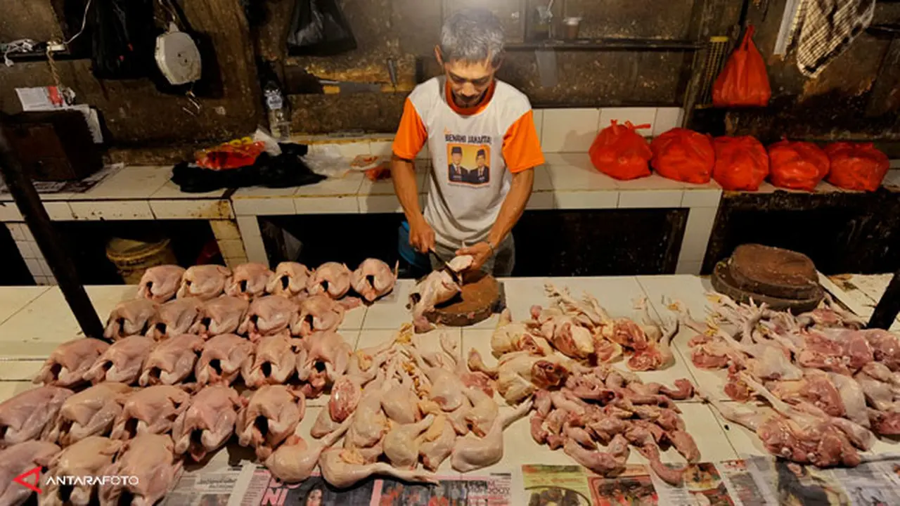 harga-daging-ayam130213b.jpg