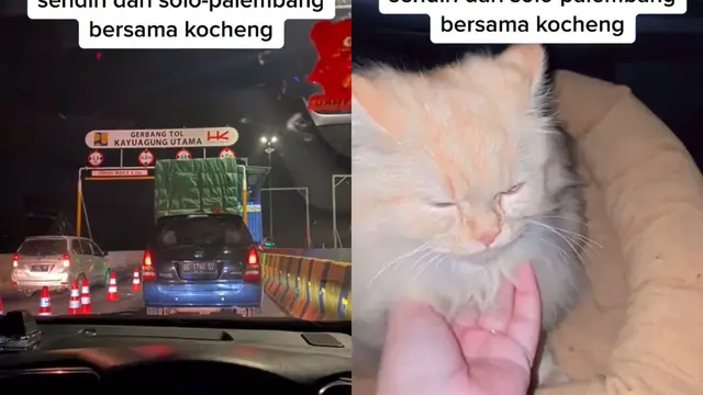 Momen kebersamaan pemudik bersama hewan peliharaannya selama mudik ke Palembang.