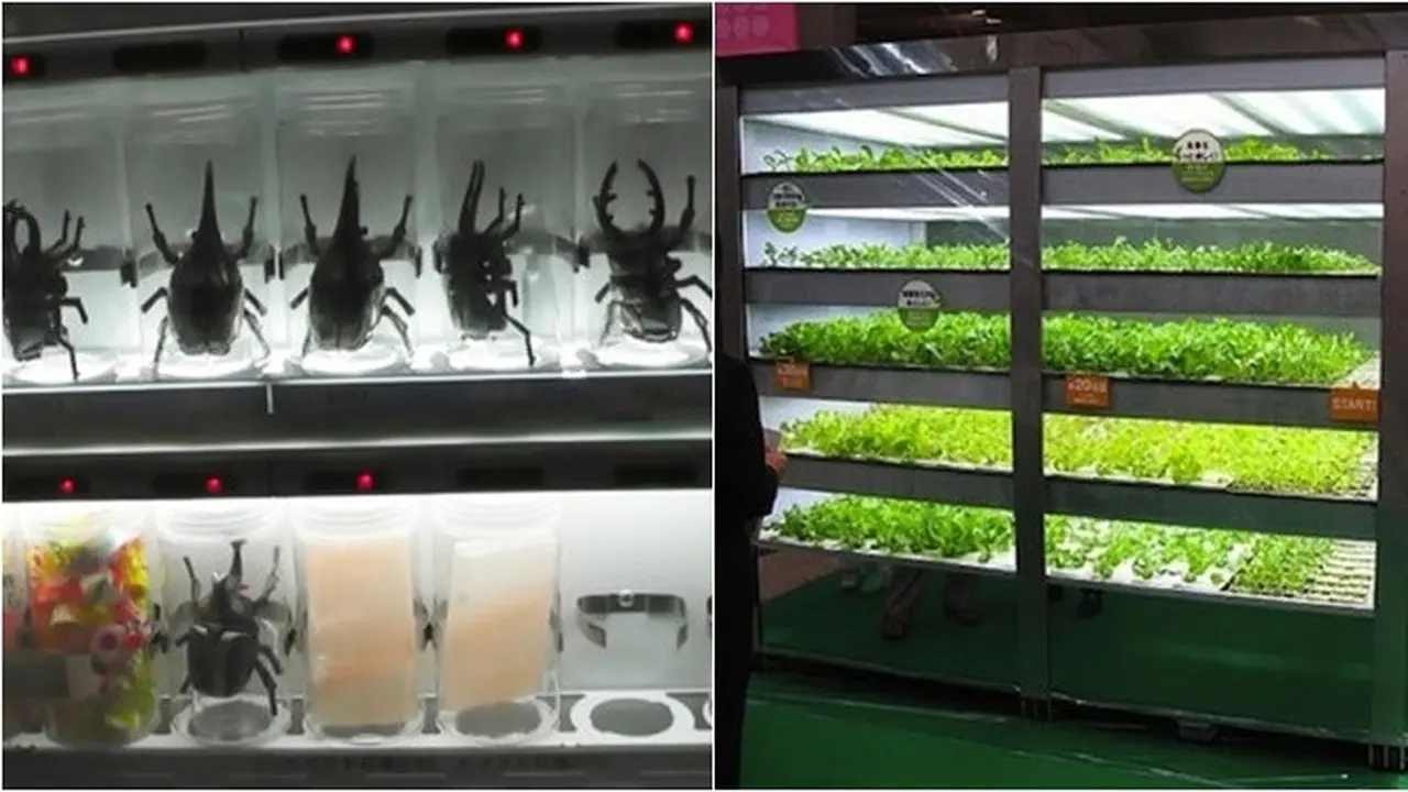 6 Potret Vending Machine Ini Jual Tanaman dan Hewan Hidup, Tak Habis Pikir