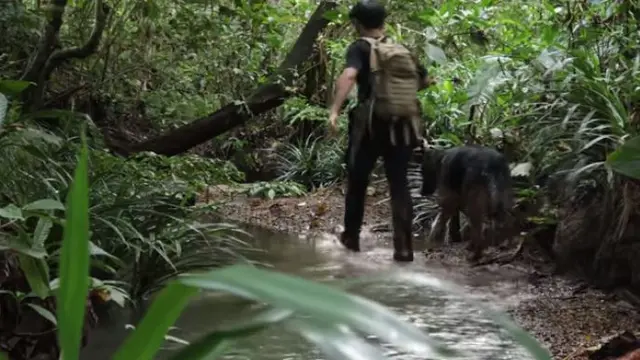 Disebut Tarzan Kalimantan, Ini 6 Potret Andrew Kalaweit Bareng Anjing Peliharaan