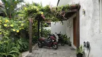 8 Cara Membuat Teras Lebih Teduh Menggunakan Kombinasi Tanaman Rambat dan Pergola