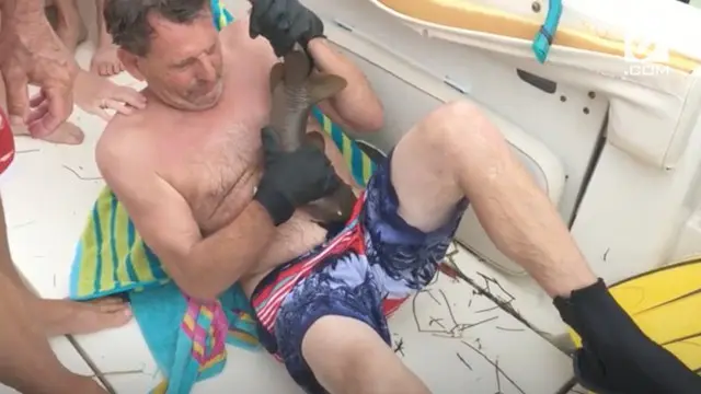 Ervin Maccarty diserang hiu saat menangkap lobster di perairan Florida. Dibutuhkan pisau untuk melepaskan gigitan dari tangan Ervin.