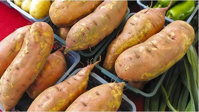 Foto: copyright by shutterstock.com