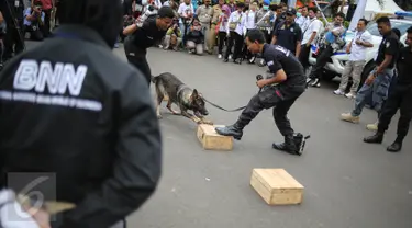 Seekor anjing unit k-9 didampingi pelatih milik BNN beraksi saat simulasi mencari barang bukti narkoba di Monumen Nasional, Jakarta, Selasa (6/12). Pasukan K9 yang dibentuk BNN terdiri dari berbagai jenis anjing. (Liputan6.com/Faizal Fanani)