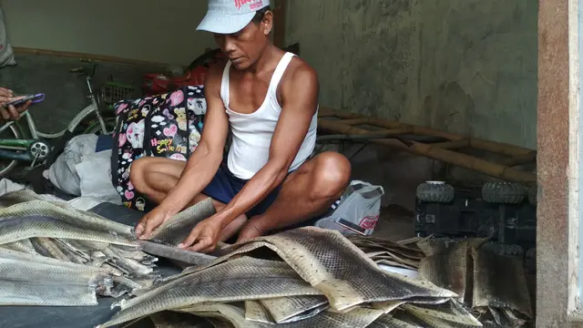 Intip Proses Pengolahan Kulit Ular Sebelum Jadi Produk Fesyen