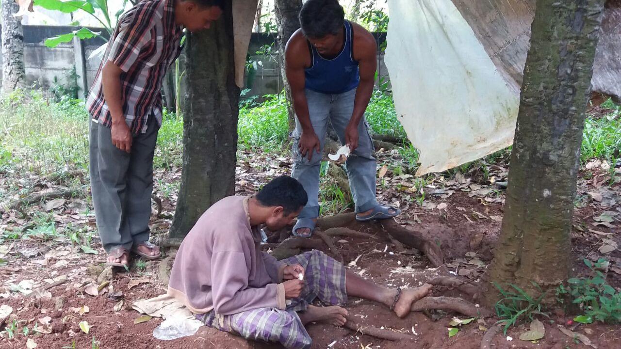 Achmad Sudarno/Liputan6.com