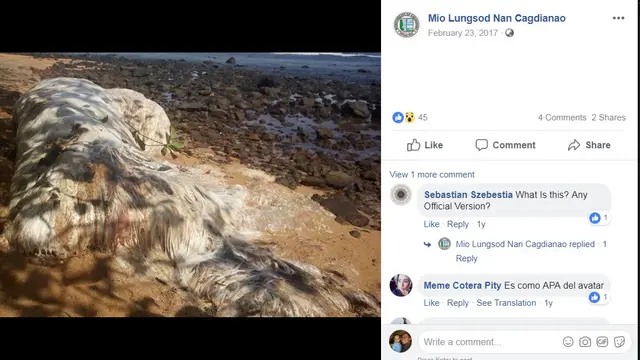 Hoaks, Video Penampakan Hewan Peliharaan Dajjal