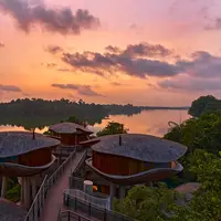 Rumah pohon menjadi salah satu tipe utama akomodasi yang tersedia di Mandai Rainforest Resort by Banyan Tree. (dok. Mandai Rainforest Resort)