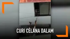 Seorang pencuri terekam kamera mengambil celana dalam dari sebuah rumah menggunakan galah panjang.