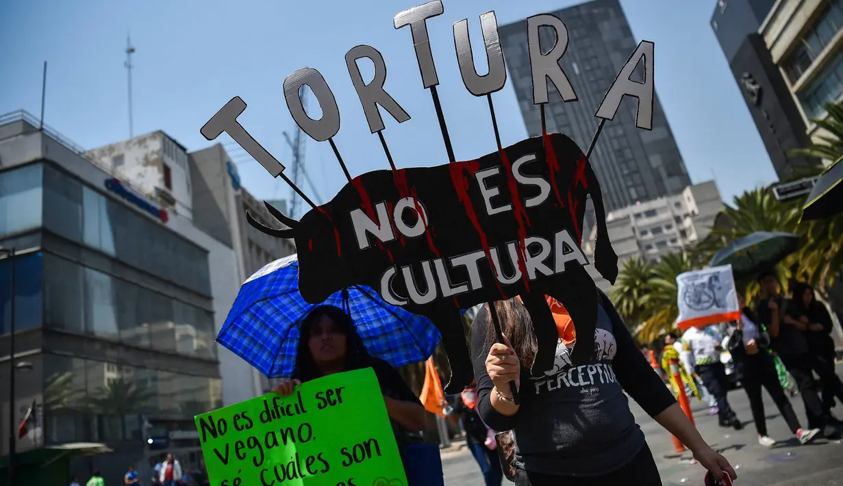 Mereka berpawai dan berunjuk rasa memprotes kasus penyiksaan terhadap hewan. (Rodrigo Oropeza/AFP)
