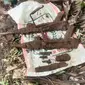 Penemuan dua senjata api laras panjang dan amunisi peluru, di Kecamatan Cisaat Kabuoaten Sukabumi (Liputan6.com/Istimewa).