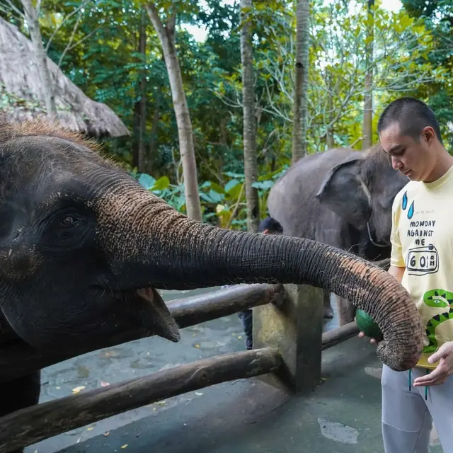 Potret Baim Wong Jadi Penyayang Hewan