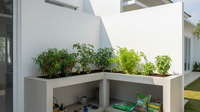 Desain Kebun Sayur di Meja Semen Cor Anti Roboh