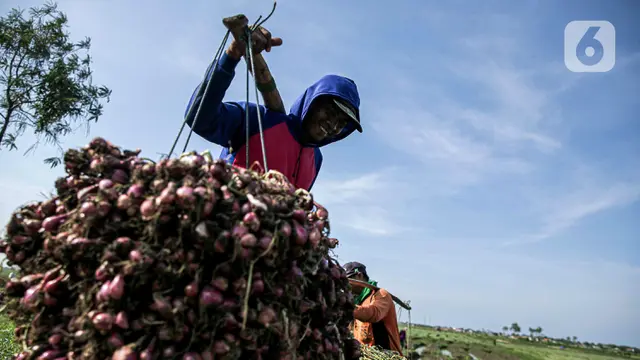 Bawang Merah Brebes