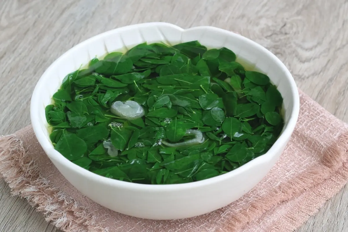 daun kelor sayur bening