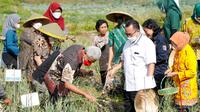 Gubernur Jawa Tengah (Jateng) Ganjar Pranowo menargetkan kebutuhan bawang putih di Jateng tercukupi hingga di atas 50 persen per bulan.