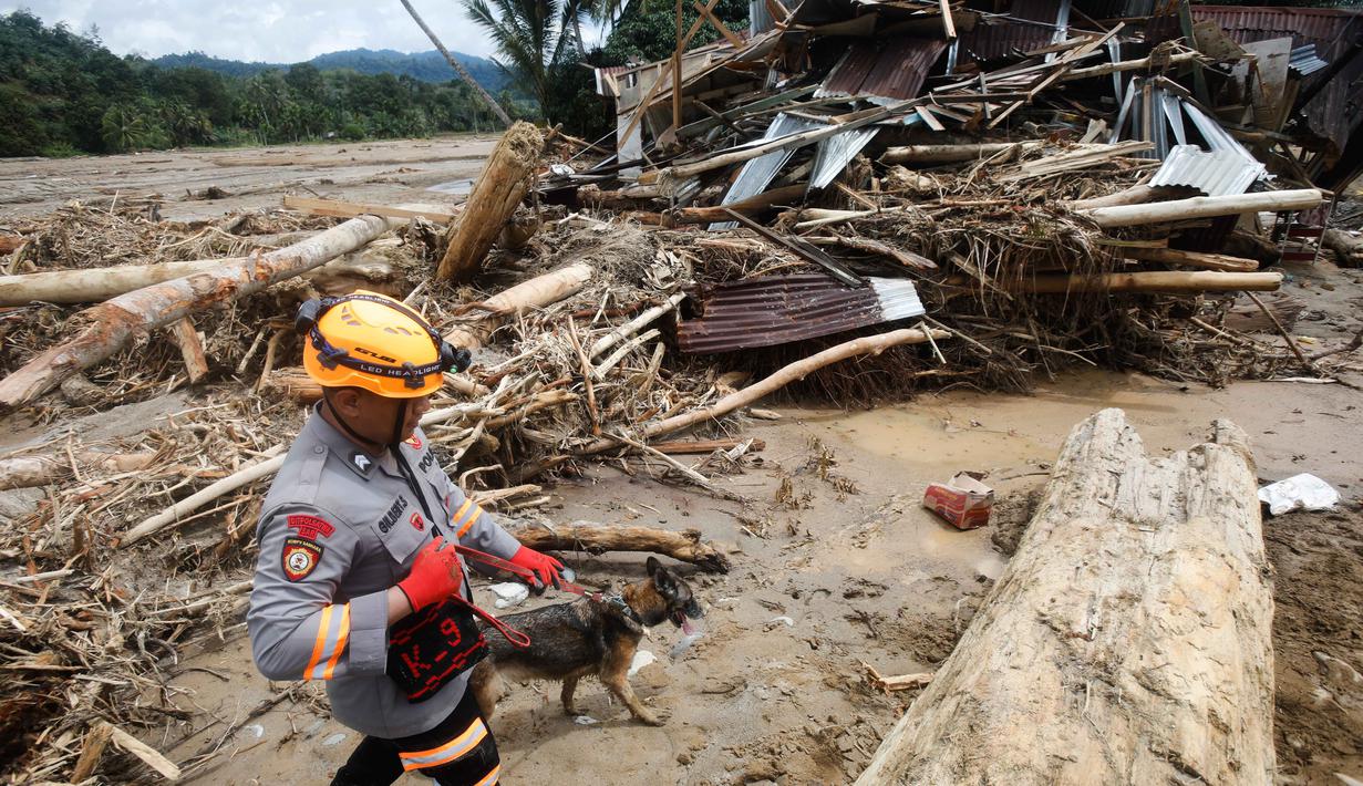 Banjir bandang dan tanah longsor yang menerjang wilayah Batang Toru, Tapanuli Selatan, Sumatra Utara, pada akhir November 2025 membawa material kayu gelondongan dalam jumlah besar. Operasi pencarian dan penyelamatan terus dilakukan tim gabungan. Tampak dalam foto, seorang petugas penyelamat memimpin anjing pelacak dalam operasi pencarian korban banjir di Batang Toru, Sumatra Utara, Rabu 3 Desember 2025. (AP Photo/Binsar Bakkara)