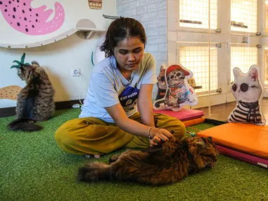 Karyawan membersihkan kandang di tempat penitipan kucing Arnamir, kawasan Setiabudi, Jakarta, Senin (17/4/2023). Menjelang libur Lebaran, tempat penitipan kucing Arnamir telah penuh dipesan sejak Desember lalu. (Liputan6.com/Faizal Fanani)