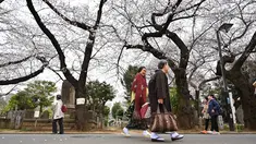 Orang-orang berjalan di Pemakaman Yanaka yang dikelilingi oleh pohon sakura di distrik Taito, Tokyo, Jepang (26/3). Memasuki akhir Maret, pohon bunga sakura mulai bermekaran di sejumlah wilayah Jepang. (AFP Photo/Charly Triballeua)