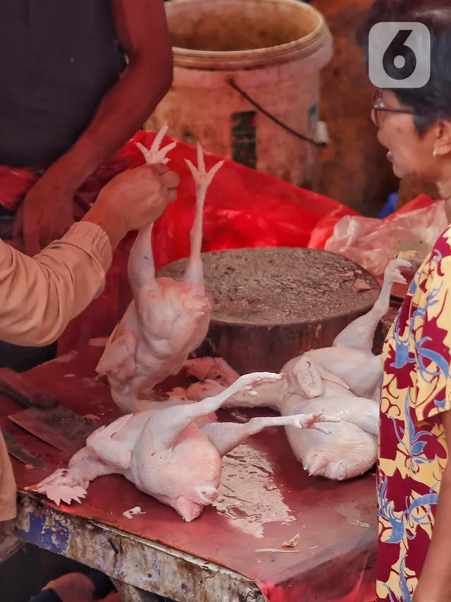 Harga Ayam Potong
