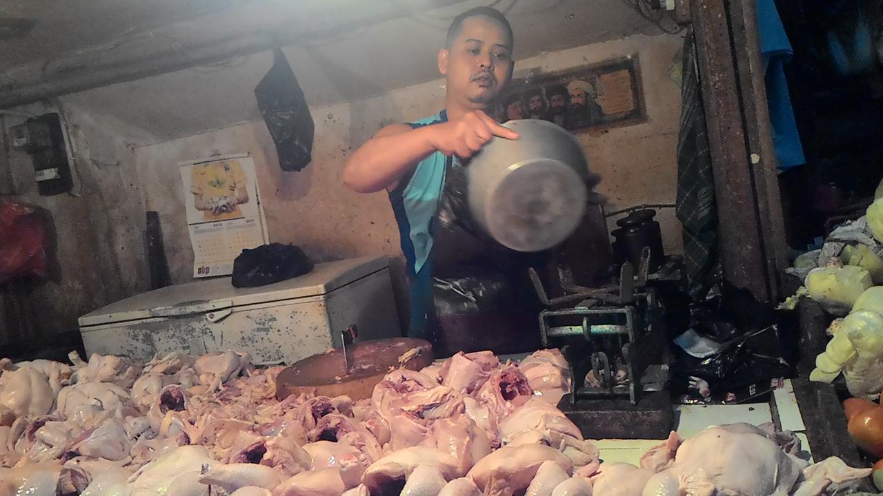 Harga Ayam Potong Masih Tinggi di Bogor