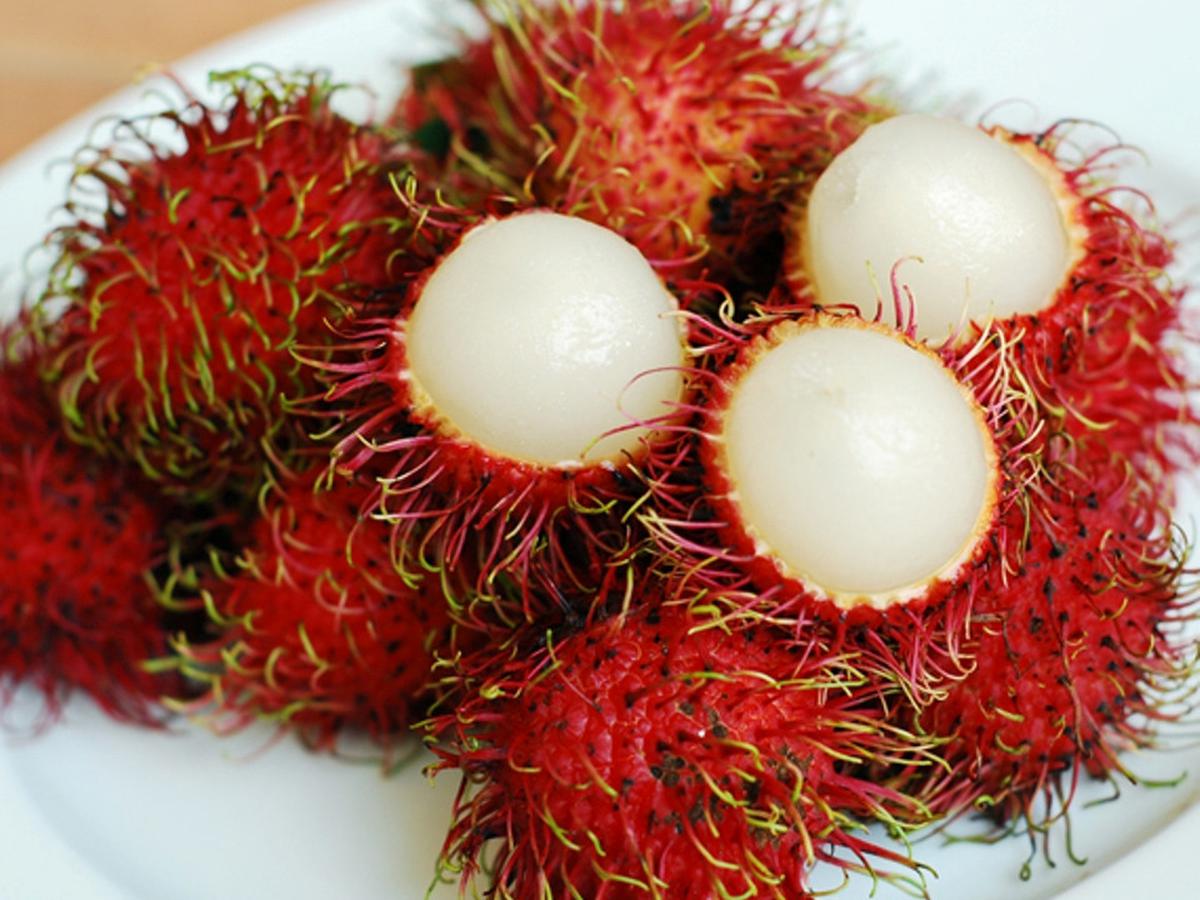 Buah Rambutan Belum Warna