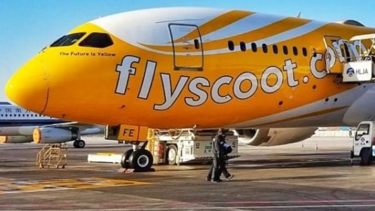 Scoot