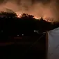Foto: Kebakaran di wilayah cagar alam Wae Wuul, Labuan Bajo (Liputan6.com/Ola Keda)