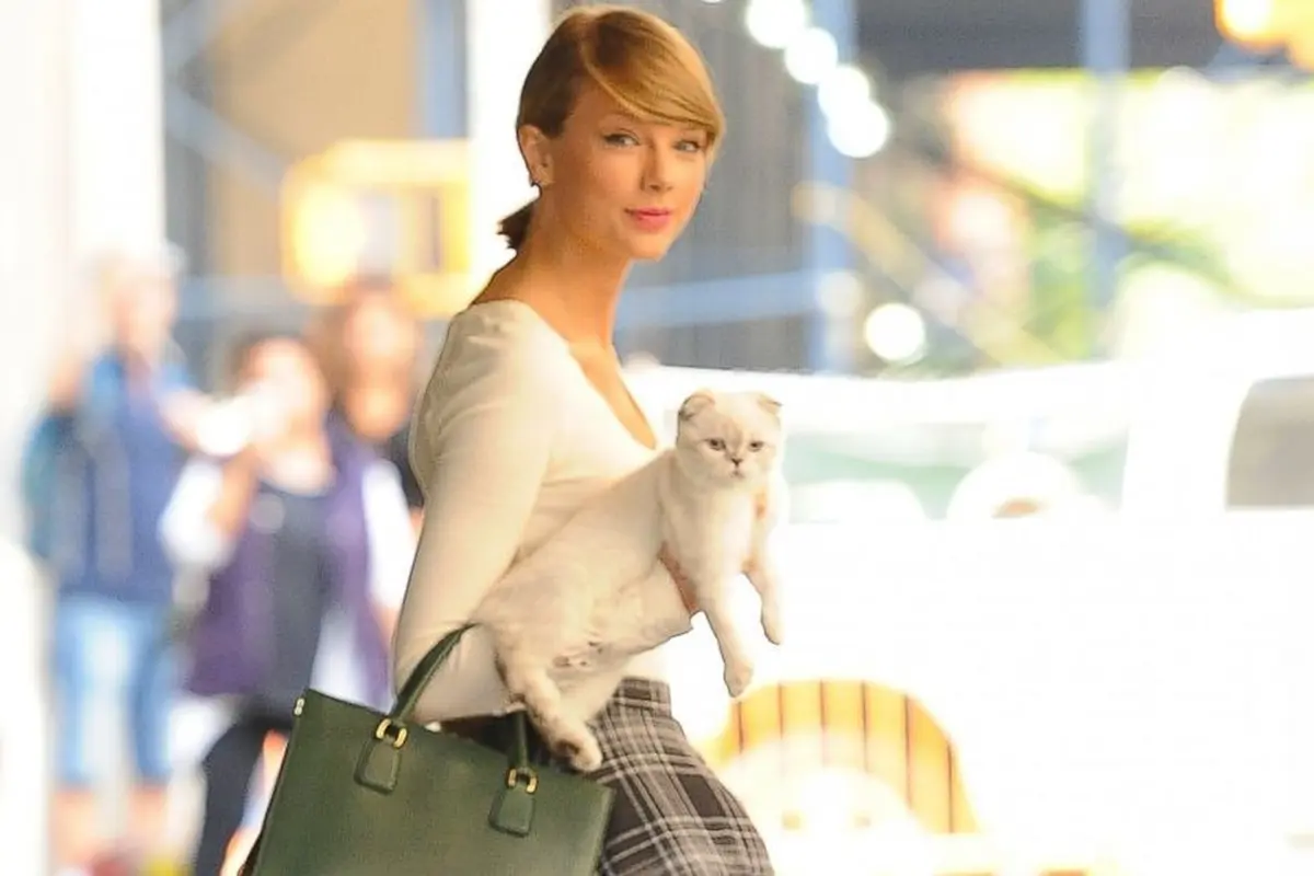 [Bintang] Taylor Swift